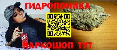мяу мяу мука Кунгур