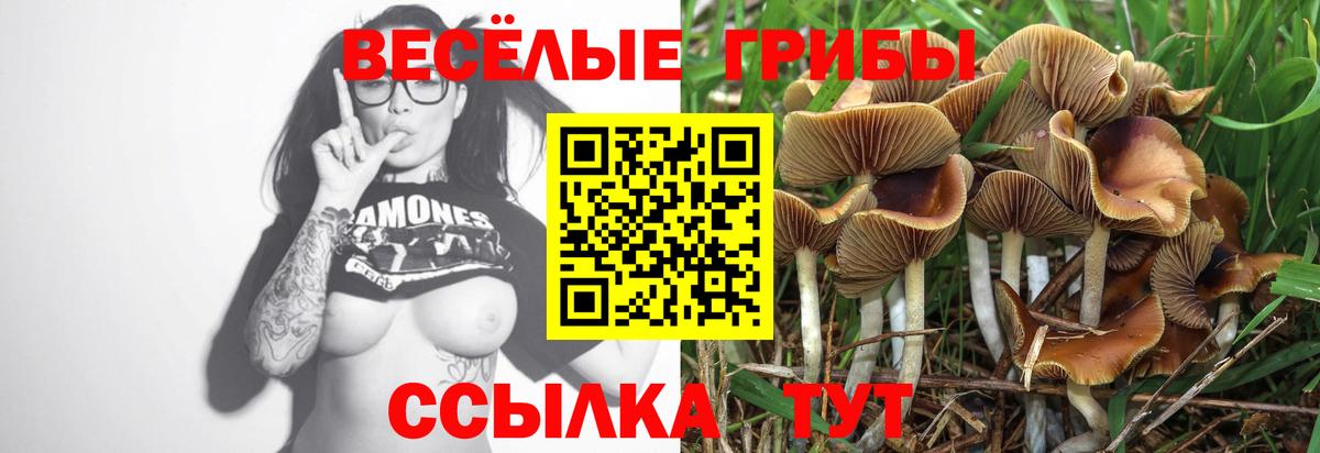 Ейск  Галлюциногенные грибы прущие грибы  Псилоцибиновые грибы ЛСД  дарнет шоп  Вход с VPN 